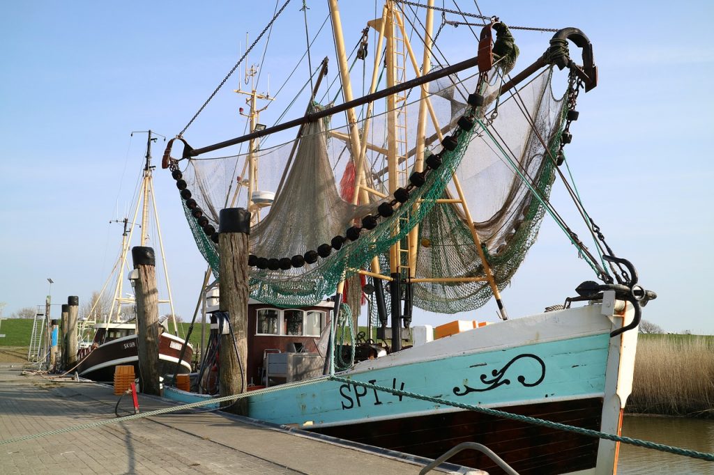 cutter, crab, coast-5033615.jpg