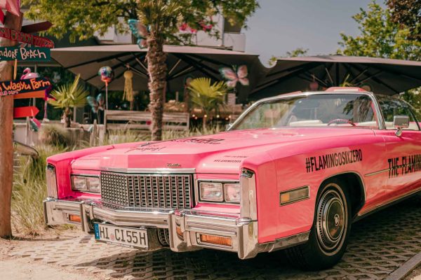 Miami-Kitchen-Party-Summer